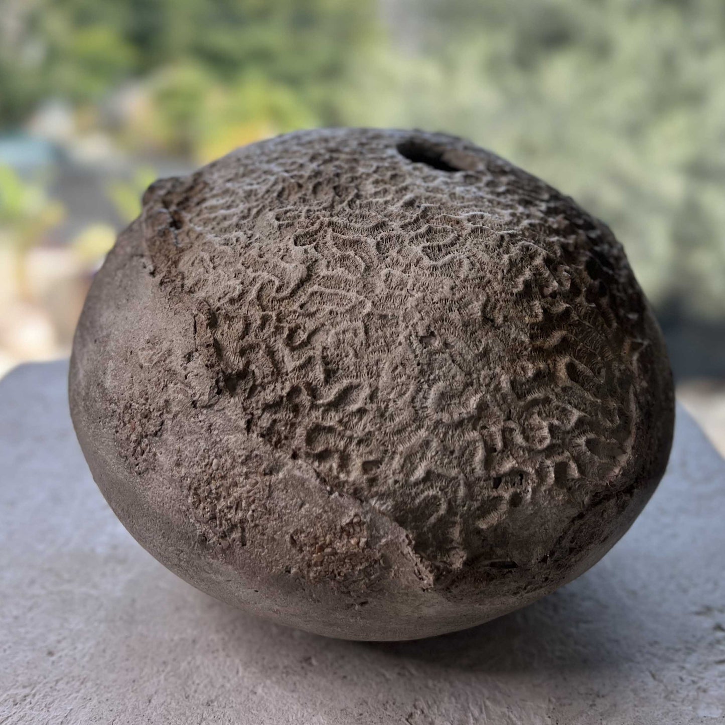 Accessorio decorativo di lusso ispirato alla natura marina