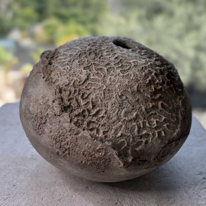 Accessorio decorativo di lusso ispirato alla natura marina