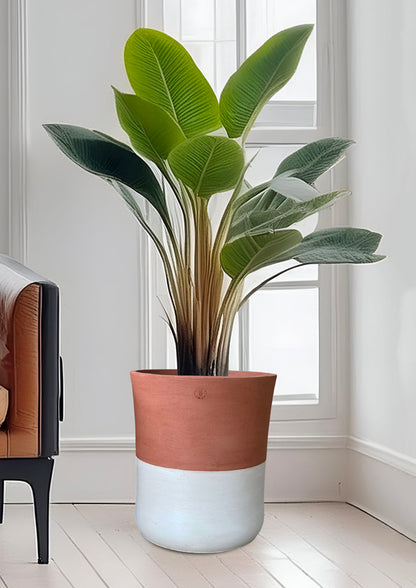 Vase en béton épaisseur 15mm léger et très résistant