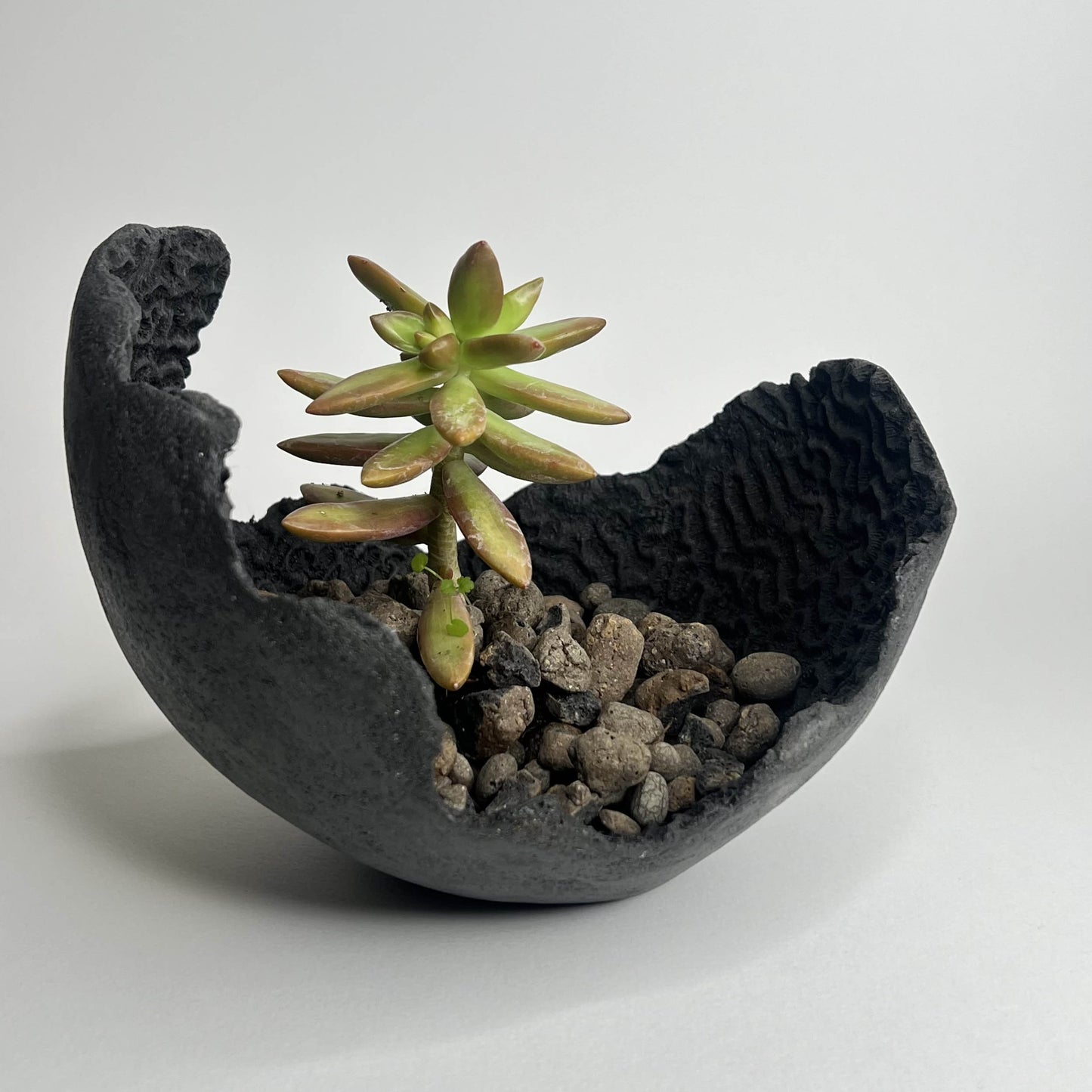 Centrotavola minerale in stile zen per interni minimalisti