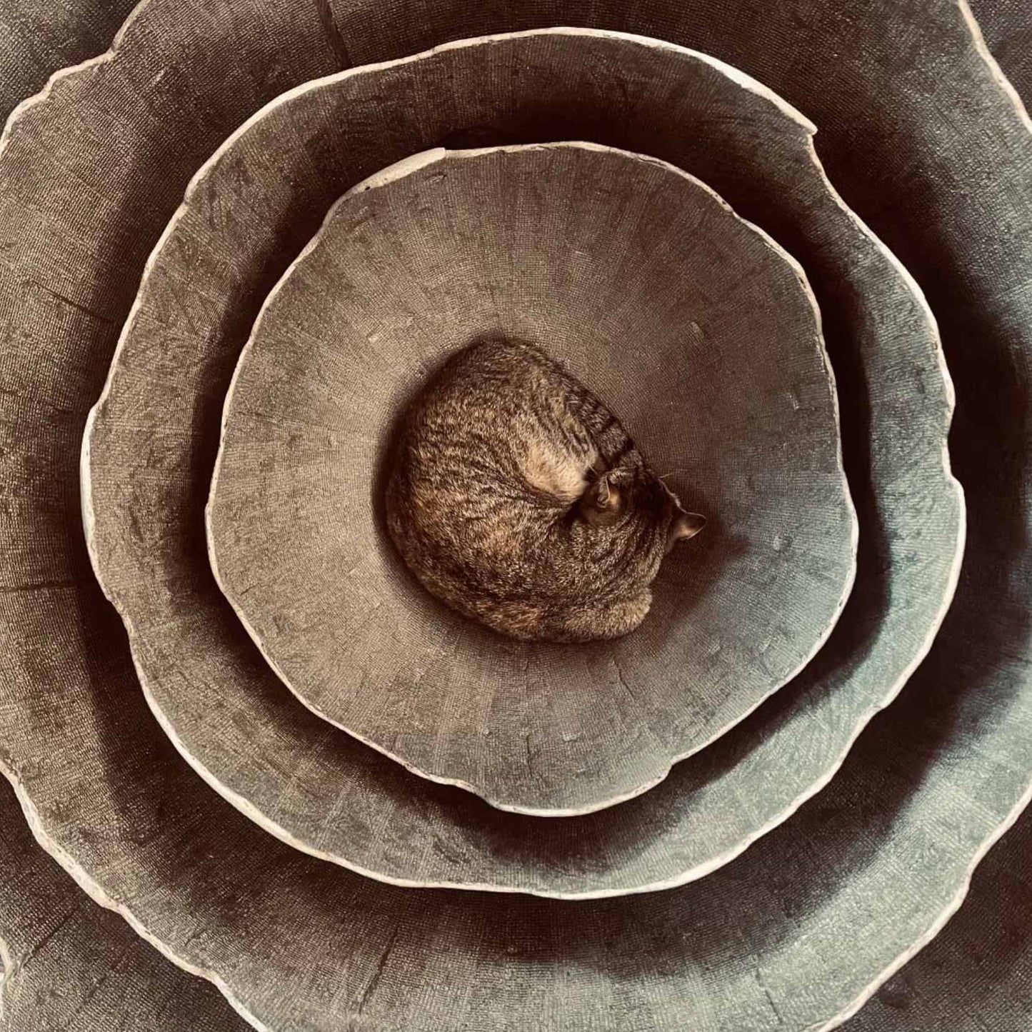 Set de lampes Lakota en béton industriel pour déco loft