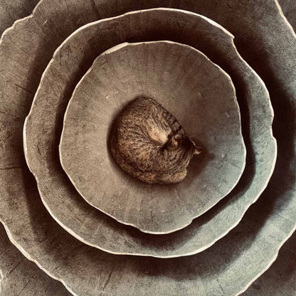 Set de lampes Lakota en béton industriel pour déco loft