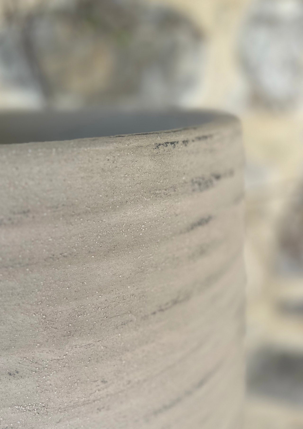 Composizione di piante in vasca di cemento per esterni di lusso