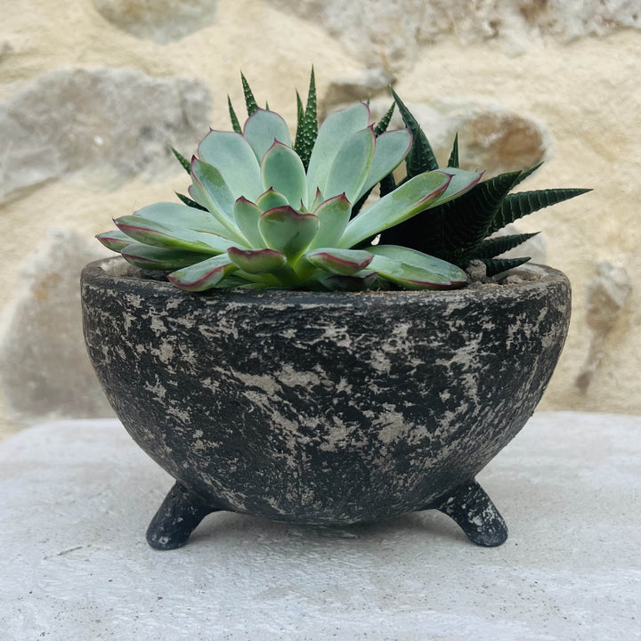 Coupe demi-sphère Yufu en béton au design moderne