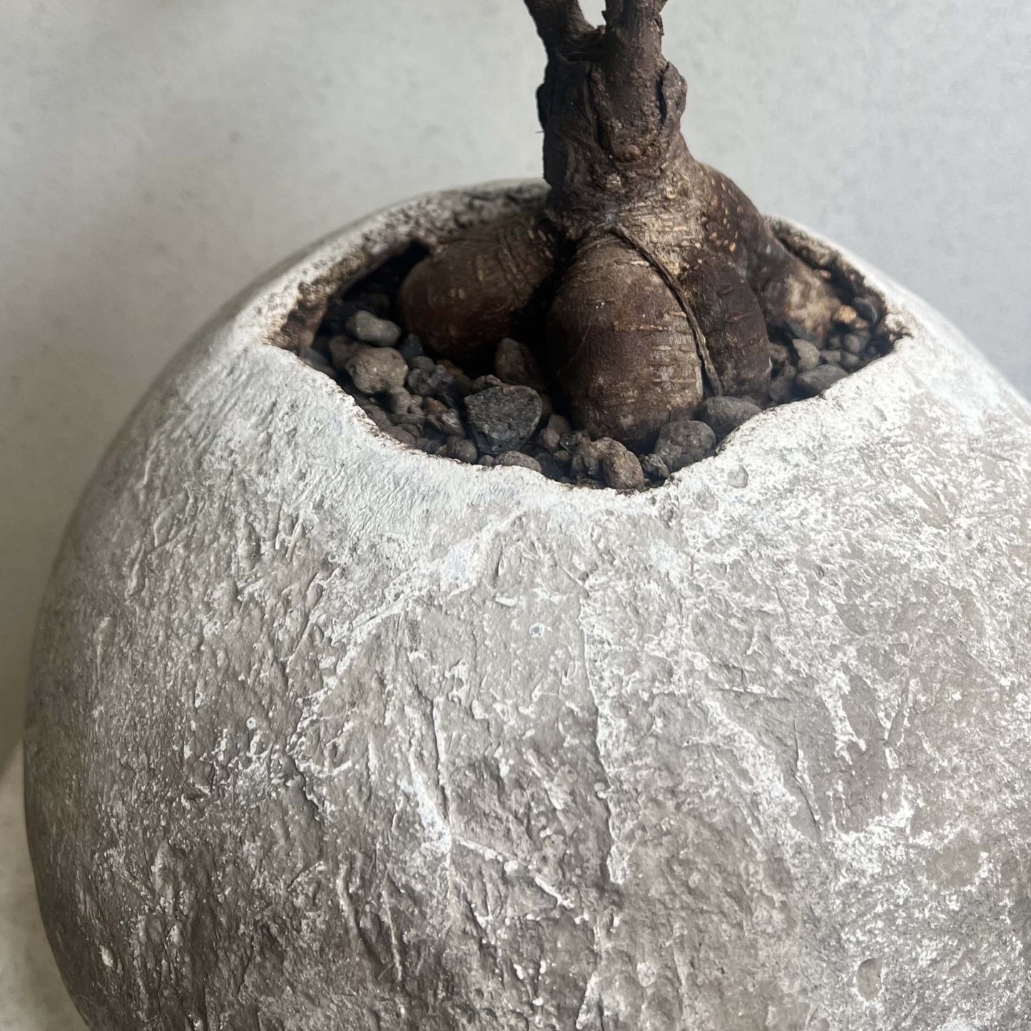 Pezzo unico da collezione della Costa Azzurra - Poterie Design