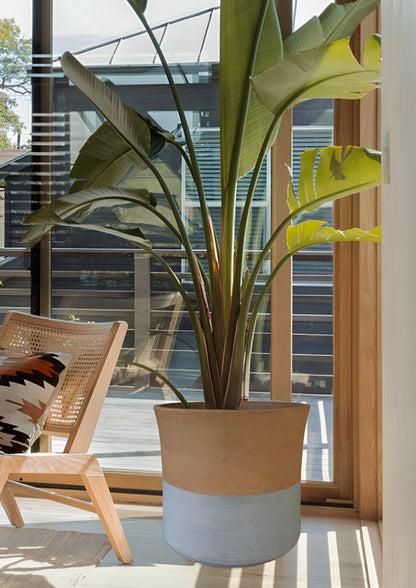 Jardinière sur mesure pour plantes géantes et arbres