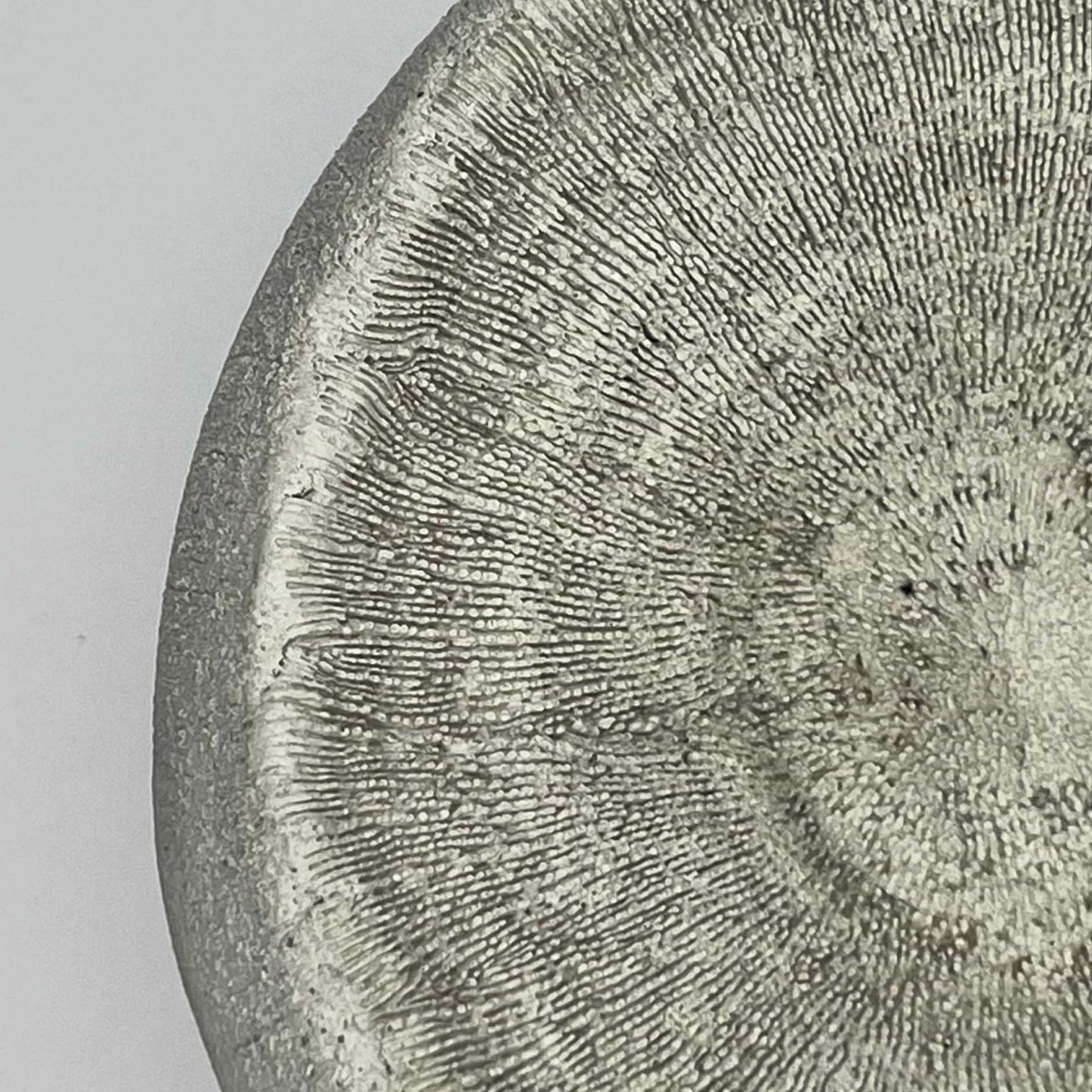 Oggetto decorativo a sfera aperta resistente al gelo