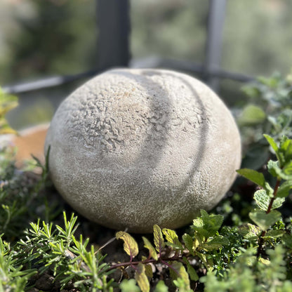 Oggetto decorativo zen in cemento con finitura naturale