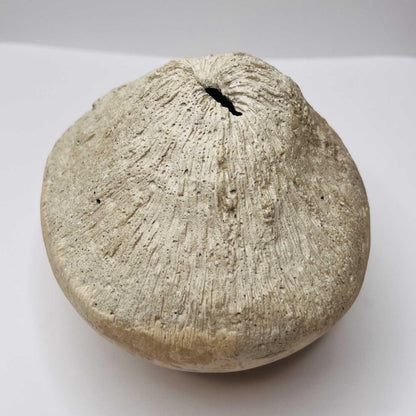 Oggetto scultoreo Vulcano personalizzabile in 300 colori