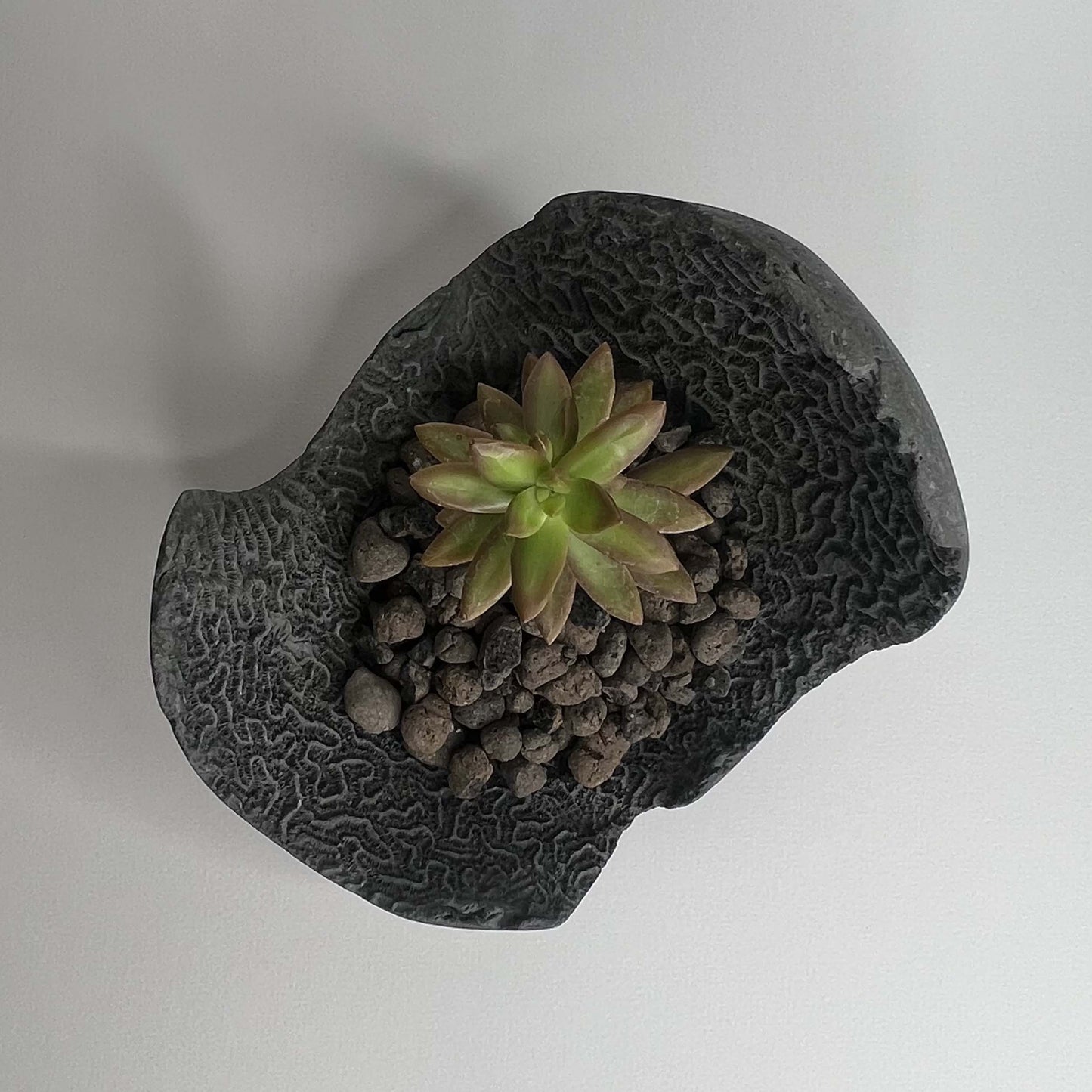 Poteria di design adatta sia per interno che per esterno