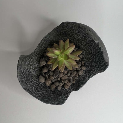 Poteria di design adatta sia per interno che per esterno