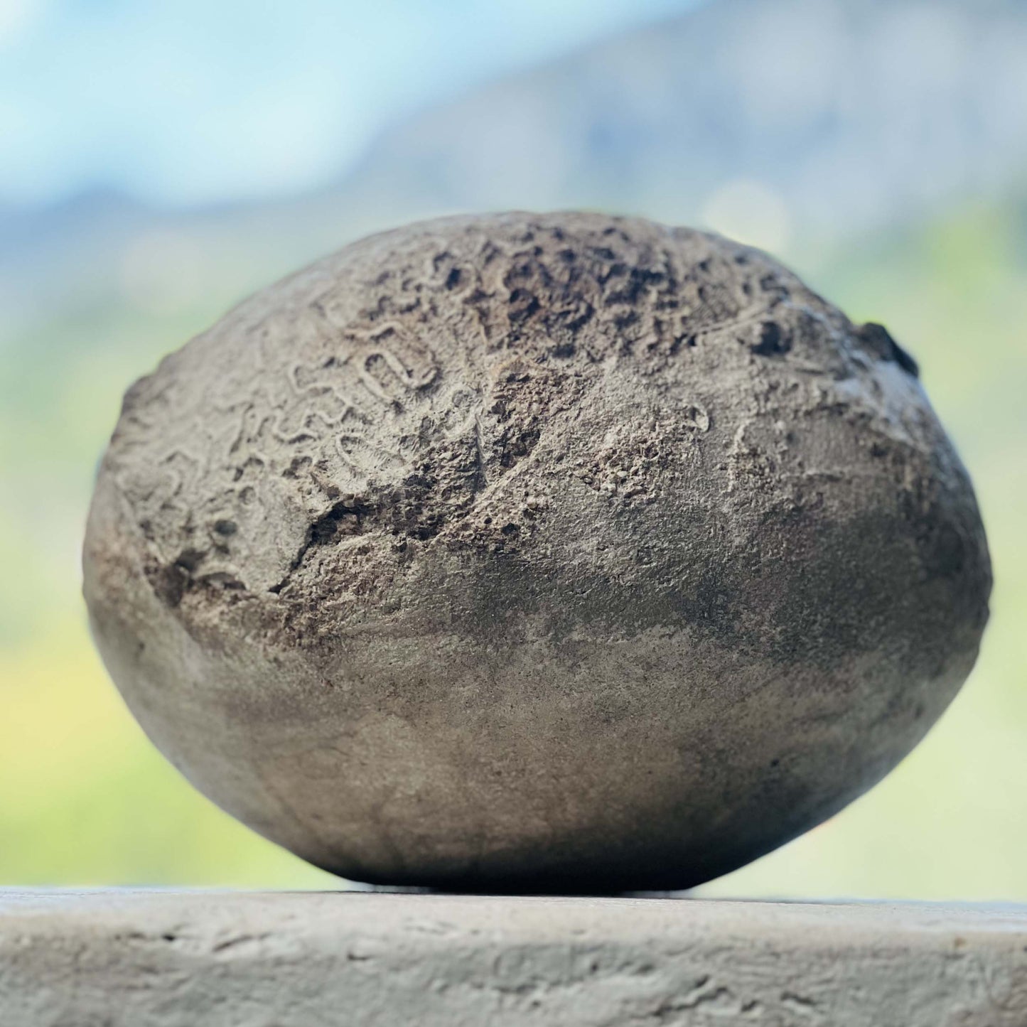 Poteria giapponese organica resistente al gelo per esterni