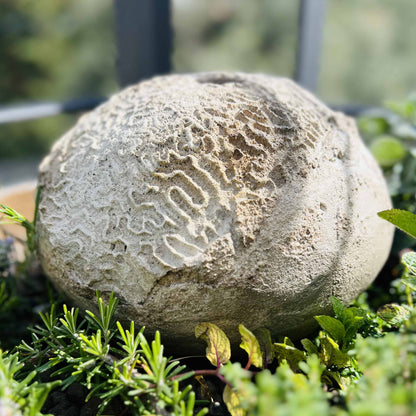 Vaso Mokuyo personalizzato disponibile in 300 colori