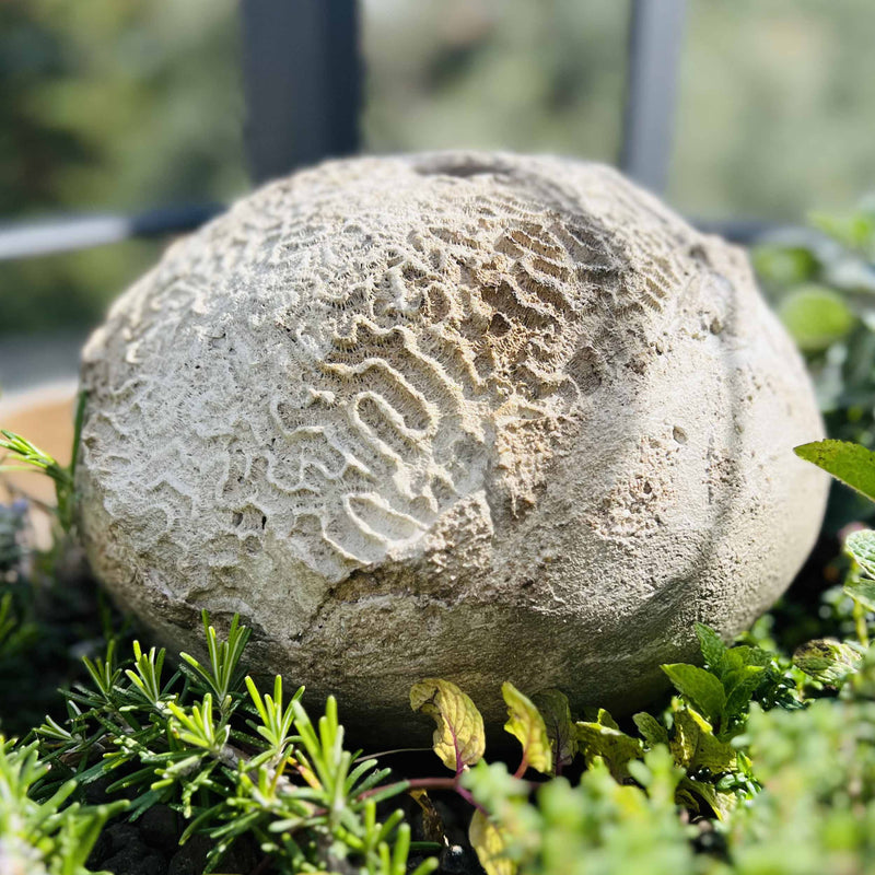 Vaso Mokuyo personalizzato disponibile in 300 colori