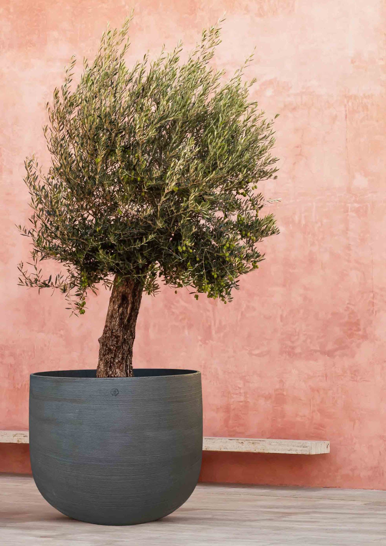 Vaso cilindrico gigante Pruno in cemento leggero fatto a mano