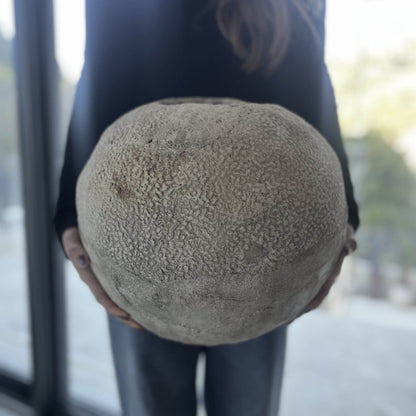 Vaso Minami con texture corallo in cemento bianco fatto a mano