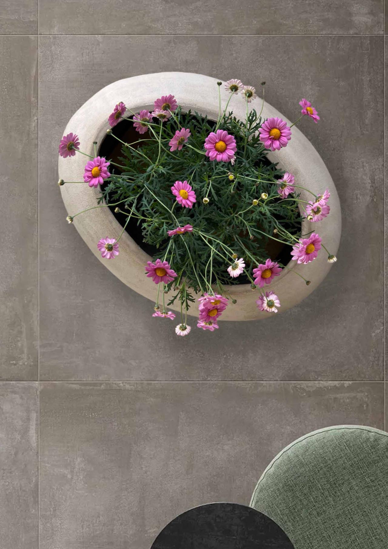 Vaso ovale basso Kiwi in cemento leggero fatto a mano