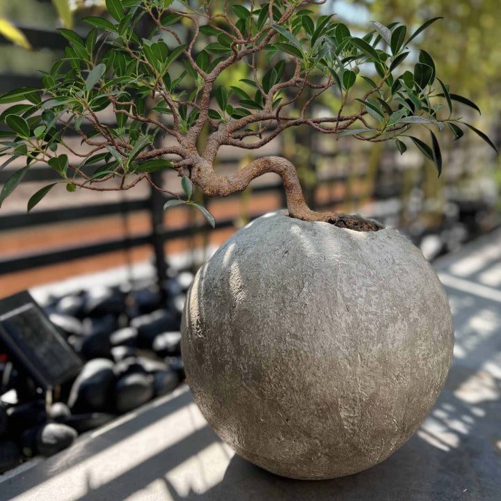 Vase rond Kikai style Japandi pour intérieur minimaliste