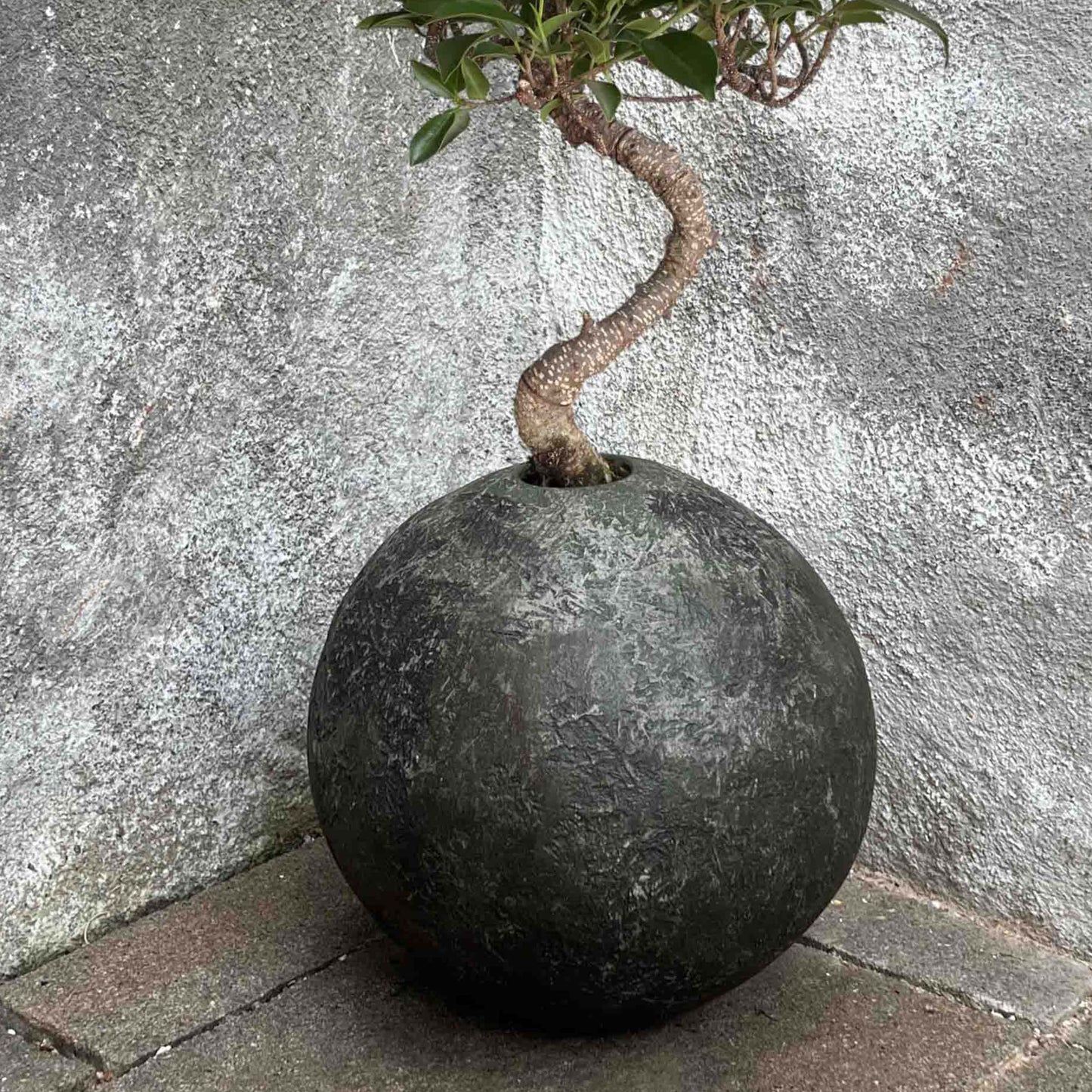 Vaso a sfera personalizzabile in oltre 300 colori