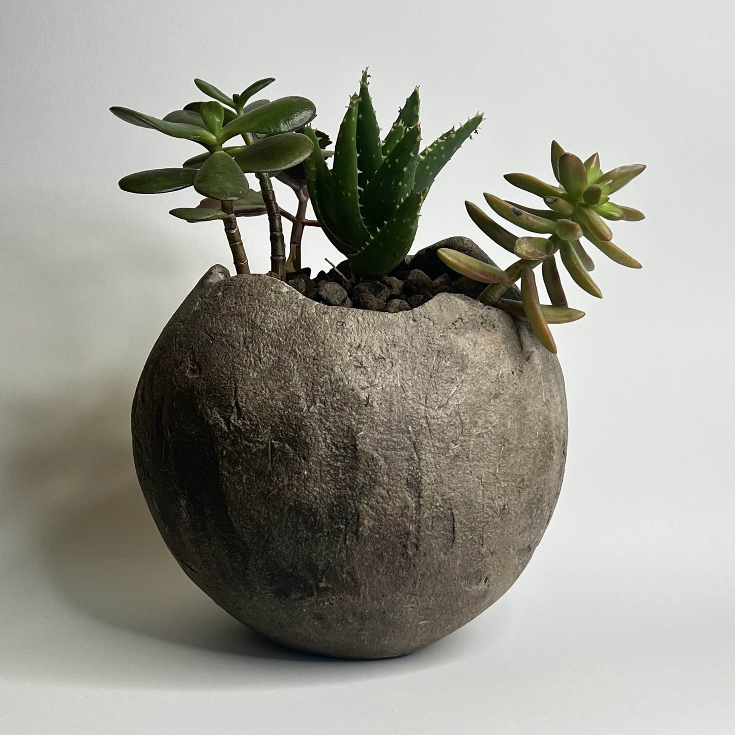 Vaso cemento giardino Bolla - Pot beton jardin Bolla