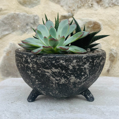 Vaso cemento giardino Bolla - Pot beton jardin Bolla