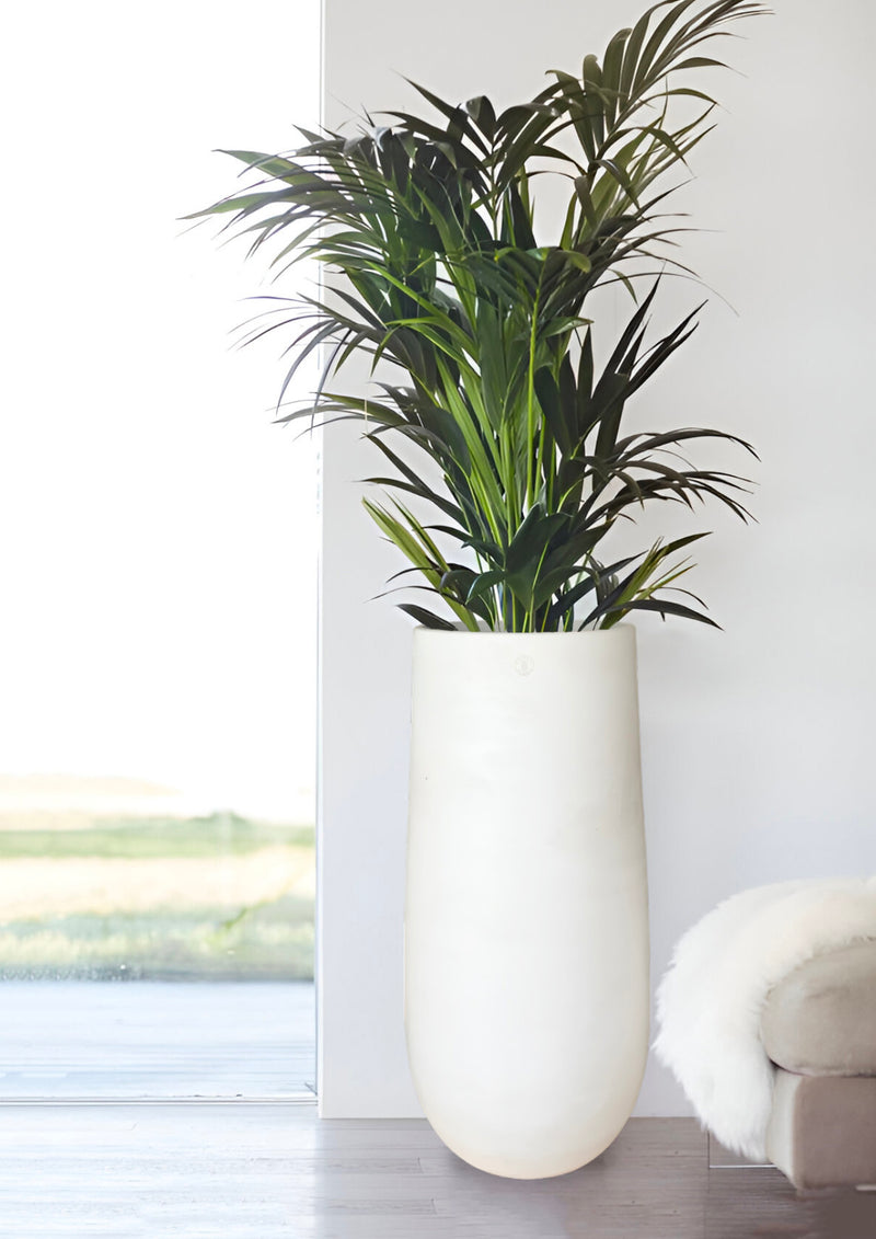 Vaso cemento giardino Ginger - Pot beton jardin Ginger