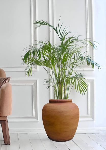 Vaso cemento giardino Oak - Pot beton jardin Oak