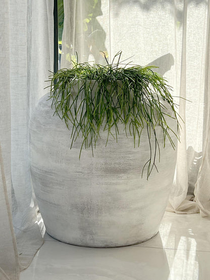 Vaso cemento giardino Oak - Pot beton jardin Oak