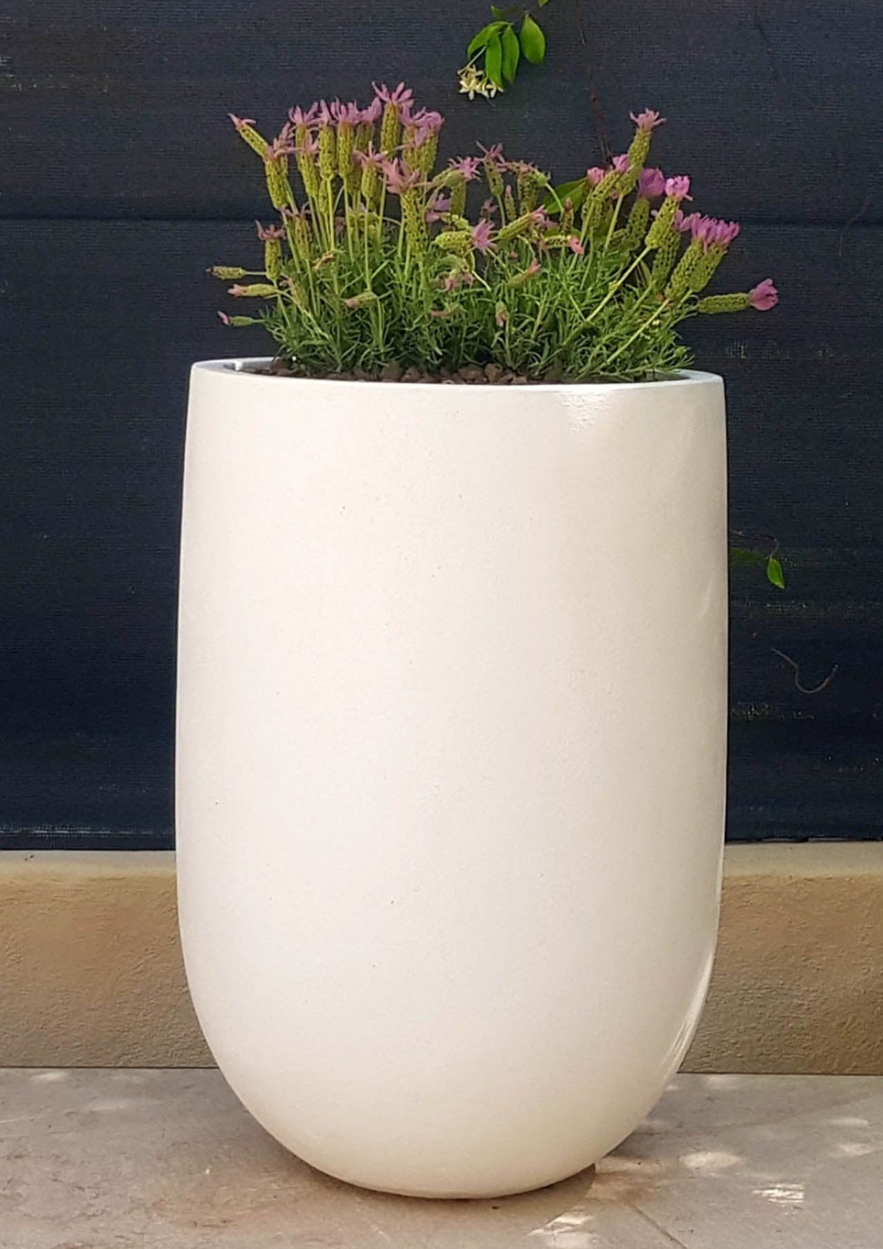 Vaso cemento giardino Pancho - Pot beton jardin Pancho