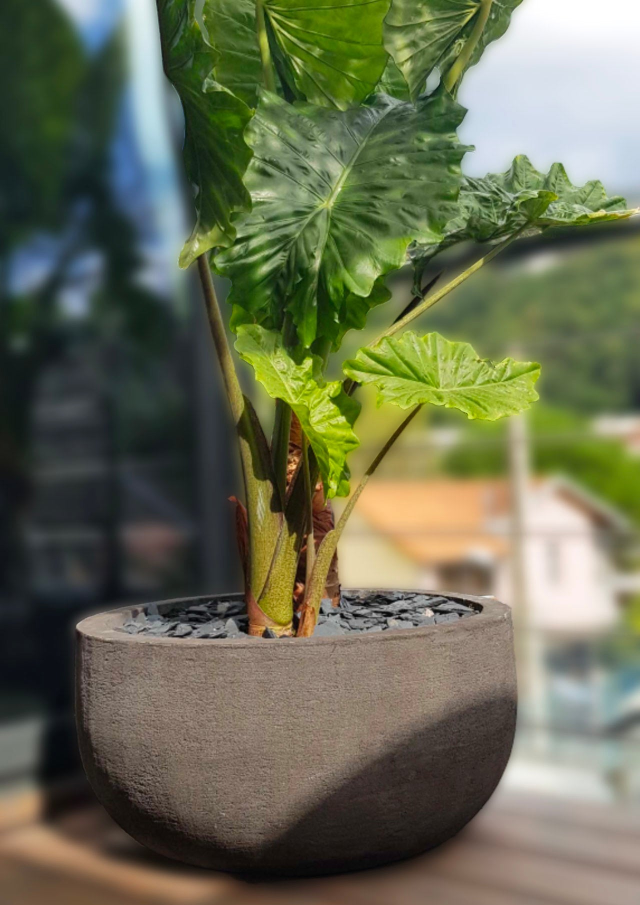 Vaso cemento giardino Pruno - Pot beton jardin Pruno