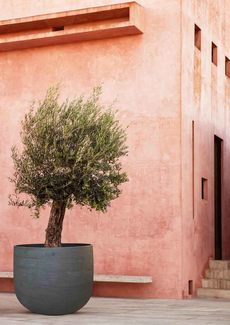 Vaso cemento giardino Pruno - Pot beton jardin Pruno