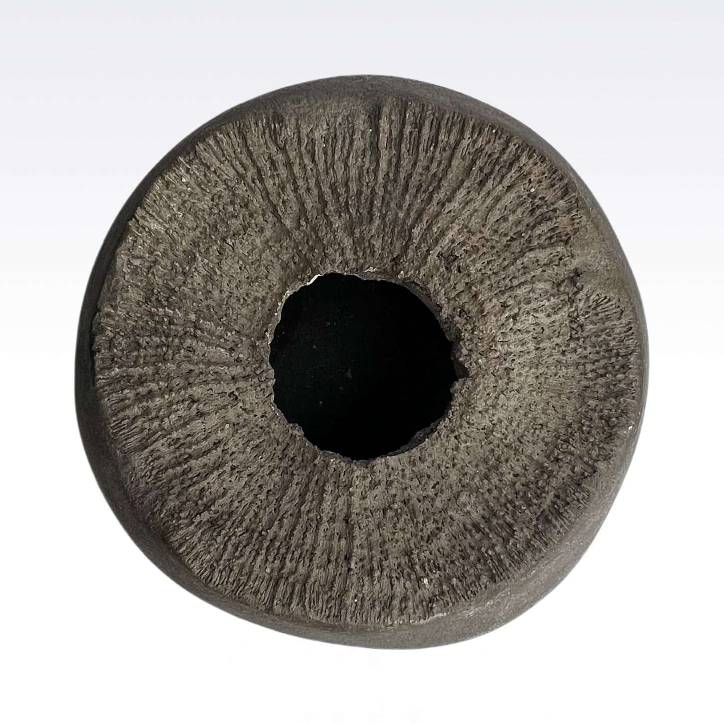 Svuotatasche di design in cemento cerato Abu